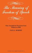 The Meaning of Freedom of Speech: First Amendment Freedoms from Wilson to FDR