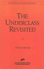 The Underclass Revisited