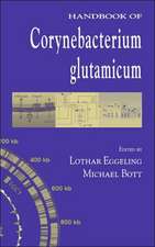 Handbook of Corynebacterium glutamicum