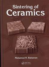 Sintering of Ceramics