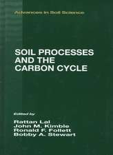 Soil Processes and the Carbon Cycle