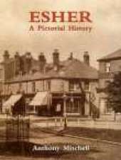 Mitchell, A: Esher A Pictorial History