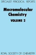 Macromolecular Chemistry: Volume 2