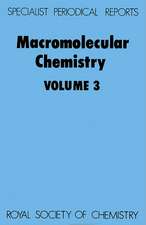 Macromolecular Chemistry: Volume 3