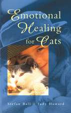 Emotional Healing for Cats