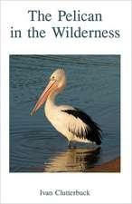 The Pelican in the Wilderness