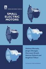 Small Electric Motors