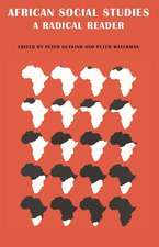 African Social Studies: A Radical Reader