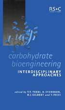 Carbohydrate Bioengineering: Interdisciplinary Approaches