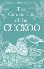 The Curious Life of the Cuckoo