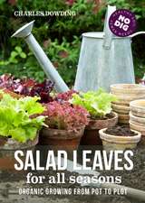 Salad Leaves for All Seasons