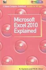 Microsoft Excel 2010 Explained