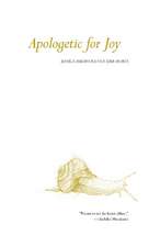 Apologetic for Joy