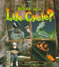 What Is a Life Cycle?