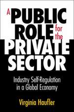 A Public Role for the Private Sector: Industry Self-Regulation in a Global Economy