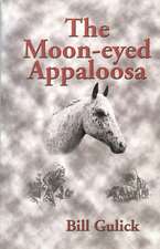 The Moon-Eyed Appaloosa