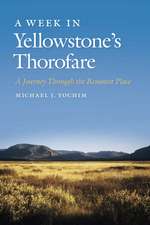 A Week in Yellowstone's Thorofare