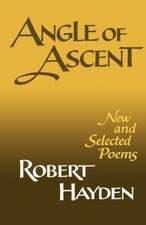 Angle of Ascent – New and Selected Poems