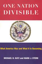 One Nation Divisible: What America Was and What It Is Becoming