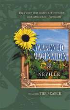 Awakened Imagination/The Search