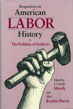 Perspectives on American Labor History: The Problems of Synthesis