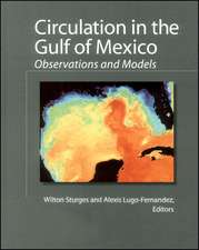 Circulation in the Gulf of Mexico – Observations and Models V161