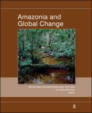 Amazonia and Global Change