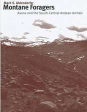 Montane Foragers: Asana and the South-Central Andean Archaic