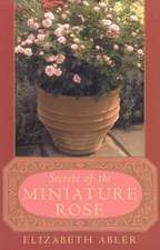 The Secrets of the Miniature Rose