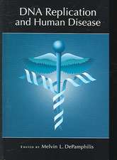 DNA Replication and Human Disease