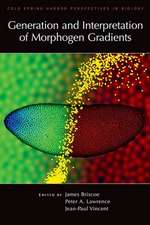 Generation and Interpretation of Morphogen Gradients: DNA Entanglement and the Action of the DNA Topoisomerases