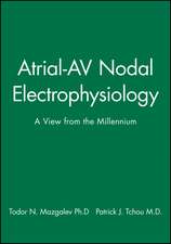 Atrial–AV Nodal Electrophysiology – A View from the Millennium