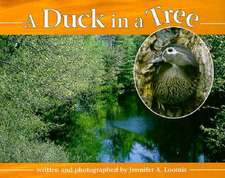 A Duck in a Tree