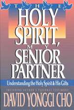 Holy Spirit, My Senior Partner