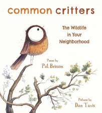 Common Critters – The Wildlife in Your Neighborhood