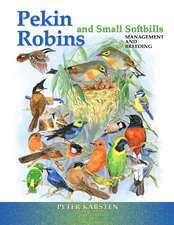 Pekin Robins & Small Softbills