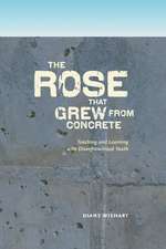 Rose that Grew from Concrete