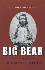 Big Bear: The End of Freedom