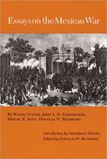 Essays on the Mexican War