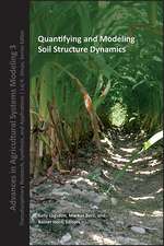 Soil Strucure Dynamics