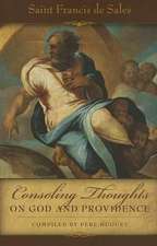 Consoling Thoughts on God and Providence: From the Visions of Anne Catherine Emmerich