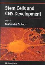 Stem Cells and CNS Development