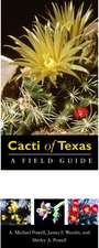 Cacti of Texas