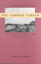 The Common Stream