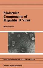 Molecular Components of Hepatitis B Virus