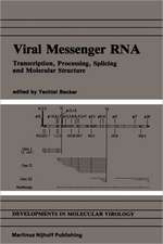 Viral Messenger RNA: Transcription, Processing, Splicing and Molecular Structure