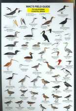 California Coastal Birds