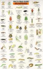 Good/Bad Garden Bugs