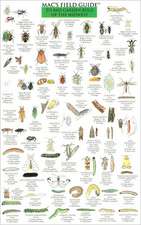 Mac's Field Guide to Midwest Garden Bugs