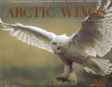 Arctic Wings: Birds of the Arctic National Wildlife Refuge